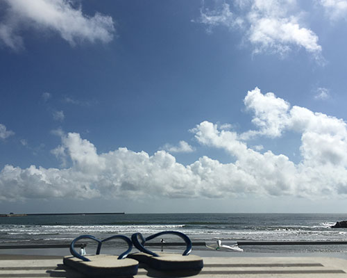 夏ですね。よろしくお願いいたします。